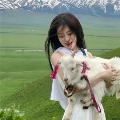 功夫小兔侠