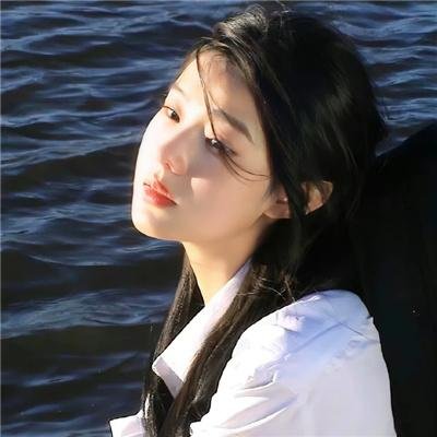 我的朋友是萌鲨